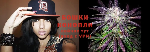 PSILOCYBIN Бугульма